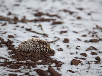 Five days until spring.