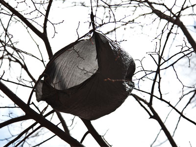 That`s my soul up there.  STING