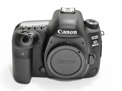 There has been a new addition to the family.