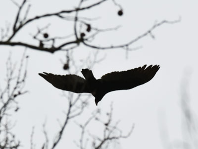 No, really, I`m fine.  See, I`m still moving.