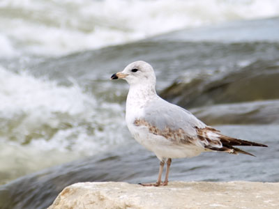 It`s important for me to get outside and spend some time with birds, bugs and blooms every day.