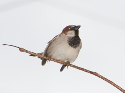 We briefly shared a sidewalk.