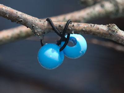 Where blueberries come from.
