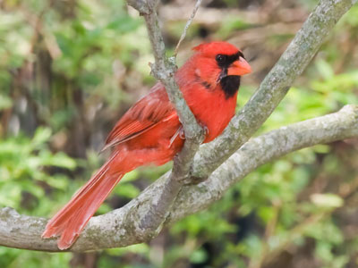 He and his mate were looking over some real estate.