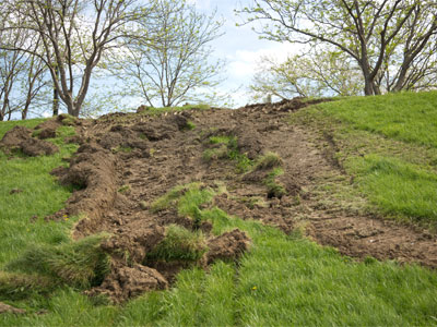 The levy that keeps Daytonians like me from drowning seems to be in distress.