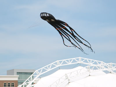 Neither quill nor feather did it bear, and its vast pinions were as webs of hide between horned fingers; and it stank. A creature of an older world maybe it was. J.R.R. TOLKIEN