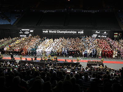 This group of five photos was taken just after midnight, in continuation of the last five.  It was a very long day!