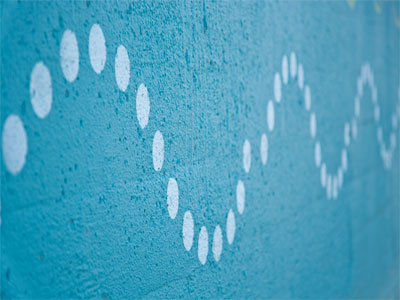 The sound of trilling frogs drew me to the river, but they didn`t want to be seen.