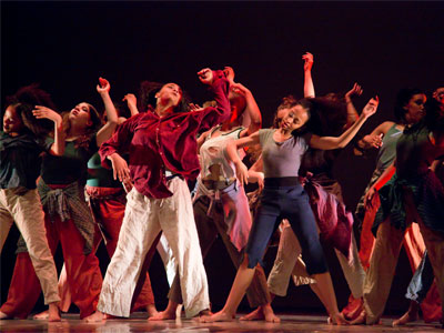 And hummingbirds do fly . . . 