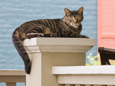 Thereby hangs a tale.  WILLIAM SHAKESPEARE