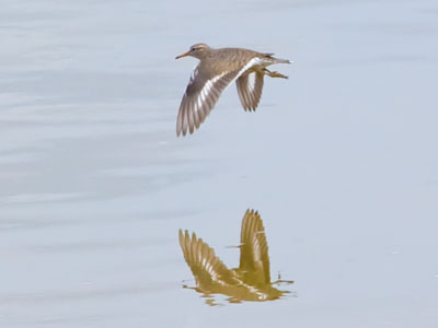 This photo wouldn`t have happened without patience.