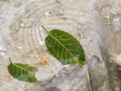 I accidentally took an interesting picture.