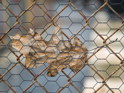 Still hanging around (see January 17, 2017).