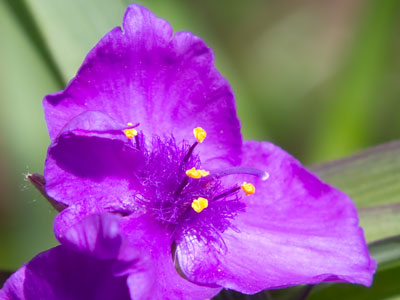 Taken while crouching on the sidewalk at a busy park.