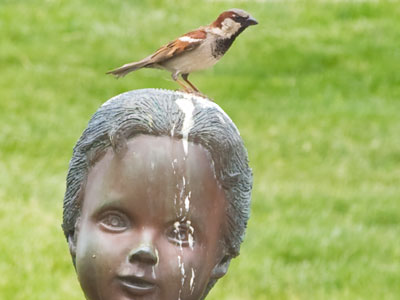 Oh, that`s unfortunate.