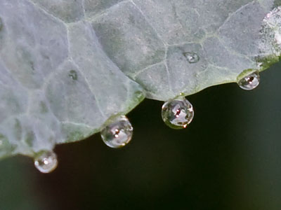 Thunderstorms all night produce this in the morning.