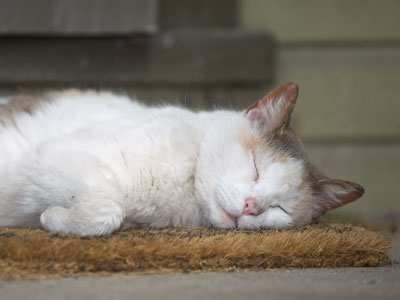 This cannot happen on my porch (see April 12, 2017).