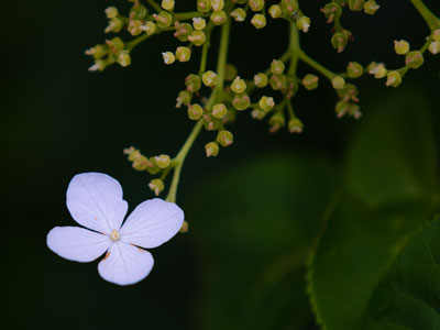 Small-scale springtime.