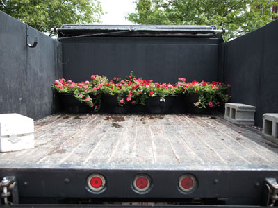 Where flowers come from.