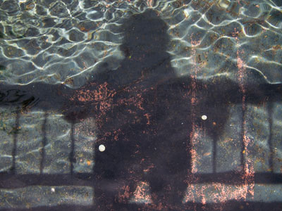 It`s just one selfie after another with me.