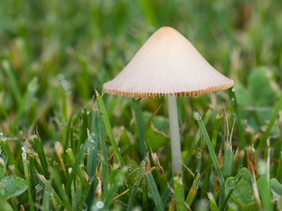 This shot would`ve been easier with my cheap camera.