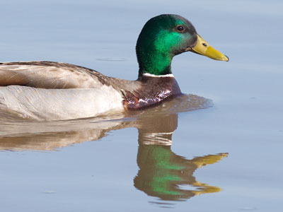 After this I had to go to work and stay indoors all day.