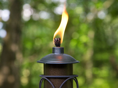 This helps keep bugs off the back porch.