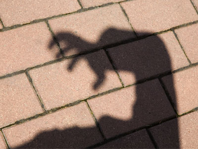 At this point, some dude came up to me and wanted to talk about cameras.  He had a Nikon, so I spoke slowly.