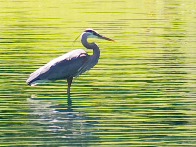 Sometimes I even impress myself.