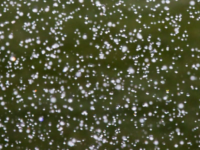 In the lawn sprinkler.