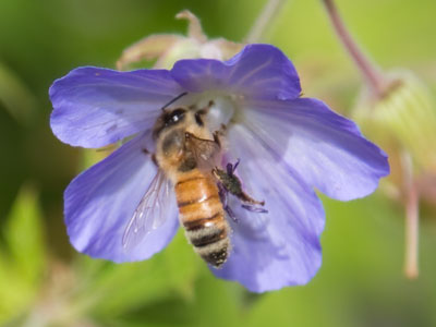 This picture was taken with a dozen people watching during my photography workshop today.  No pressure.