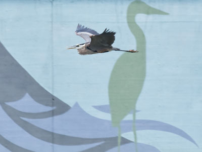 A 3-D heron flies past a 2-D heron.
