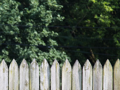 The back fence.