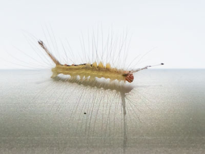 Soon to be transformed.