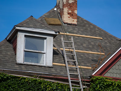 Most roofing jobs in this area are done by Mexicans.  That`s because we`re so upwardly mobile.
