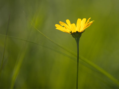 This picture just needed to be taken.  I had to obey.