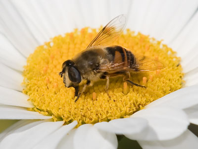 What, no birds today?