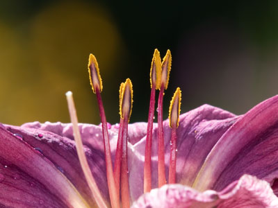 Sure, I take photos -- but at the same time, I also listen, watch and learn, and it makes me happy and grateful.