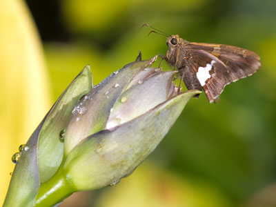 A lot of my best pictures are taken after I`ve decided that I`m finished taking photos for the day.