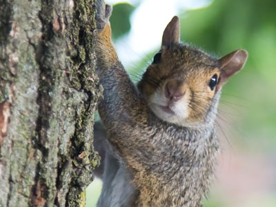 Hanging around the Oregon District.
