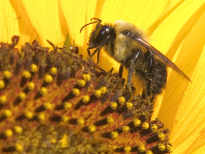 Thanks for doing your small part to keep all of us alive.