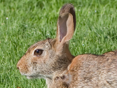 Beast No. 2 from this morning.