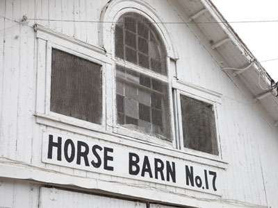 This might be the last time I go to the county fair.  The current fairgrounds are going to be demolished soon.