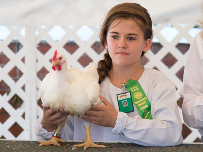 Staring down the bidder who is about to take her bird.