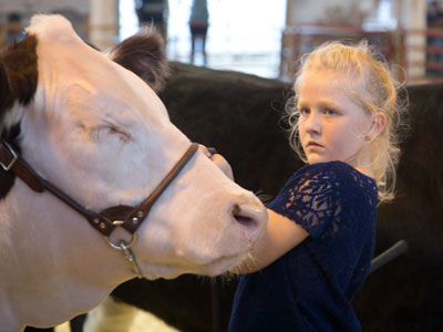 She handled a calf that was many times her weight.