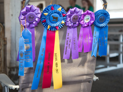 Somebody is really cleaning up at the fair.