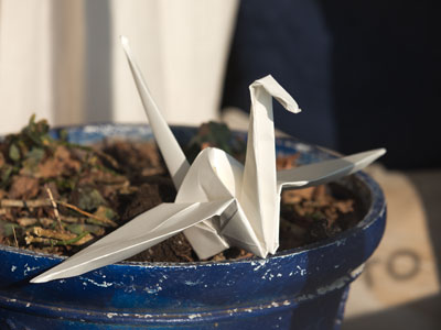 I take way too many pictures of birds.