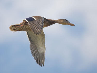 A quick snap that accidentally turned out well.