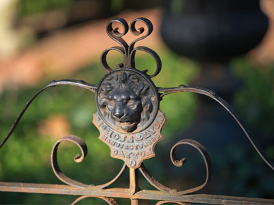 I usually have a flash attached to my camera.  I don`t always use it, but I sure missed it today when I forgot it.