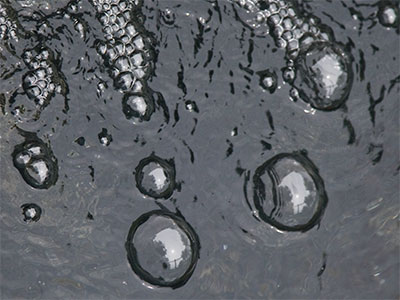 The brevity of our lives.